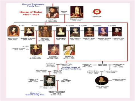 dinastia inglese dai tudor a victoria|tudor dynasty timeline.